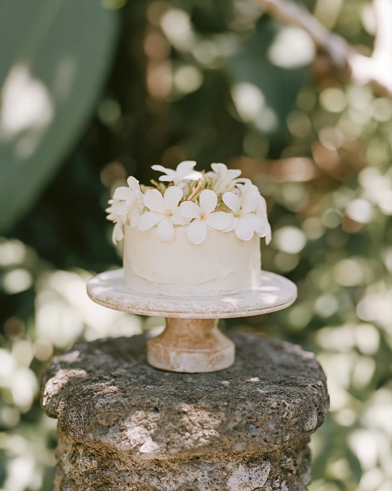 Small white wedding cake with frangipani on stone