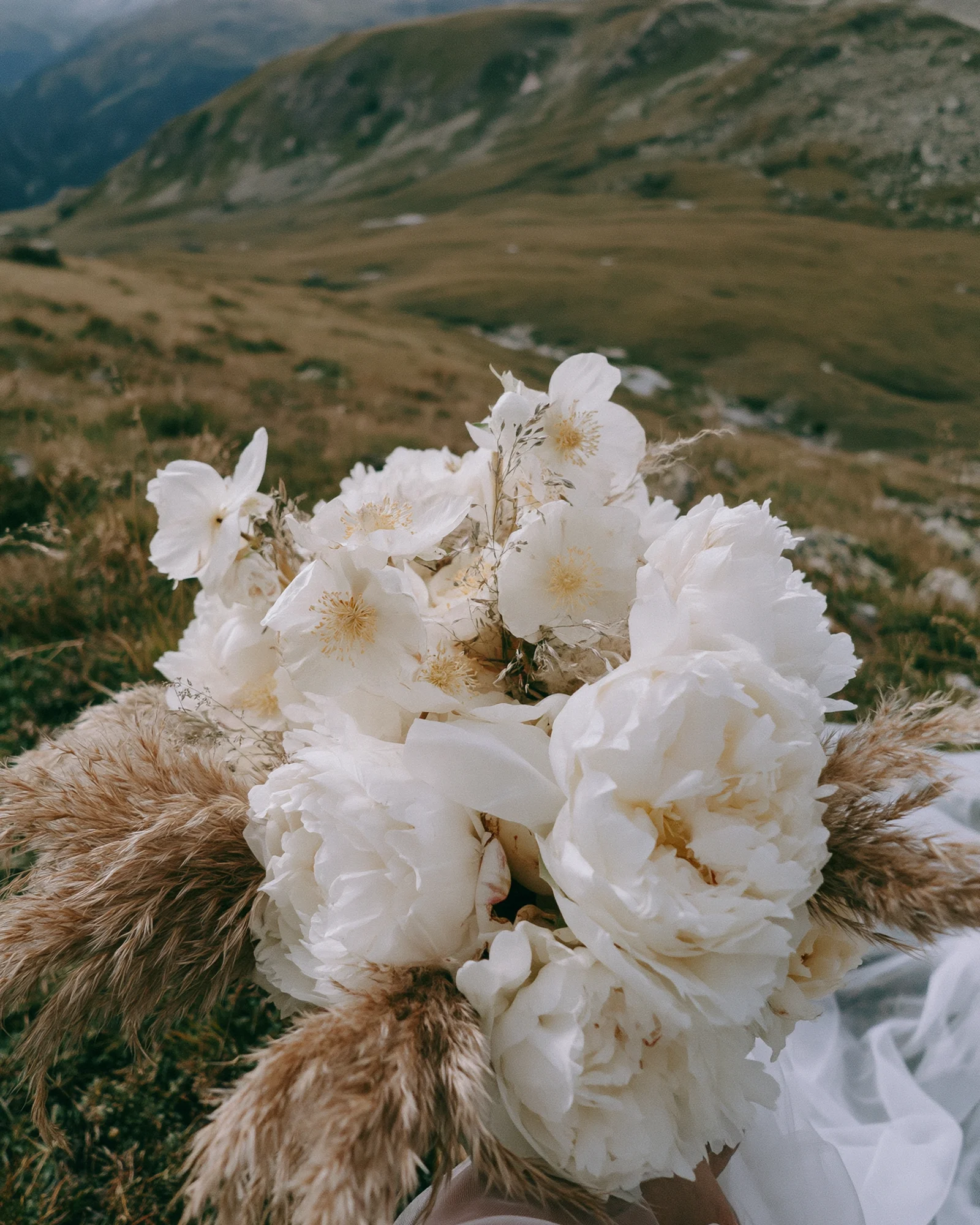 Bouquet of white roses and pampas grass resting on golden grass