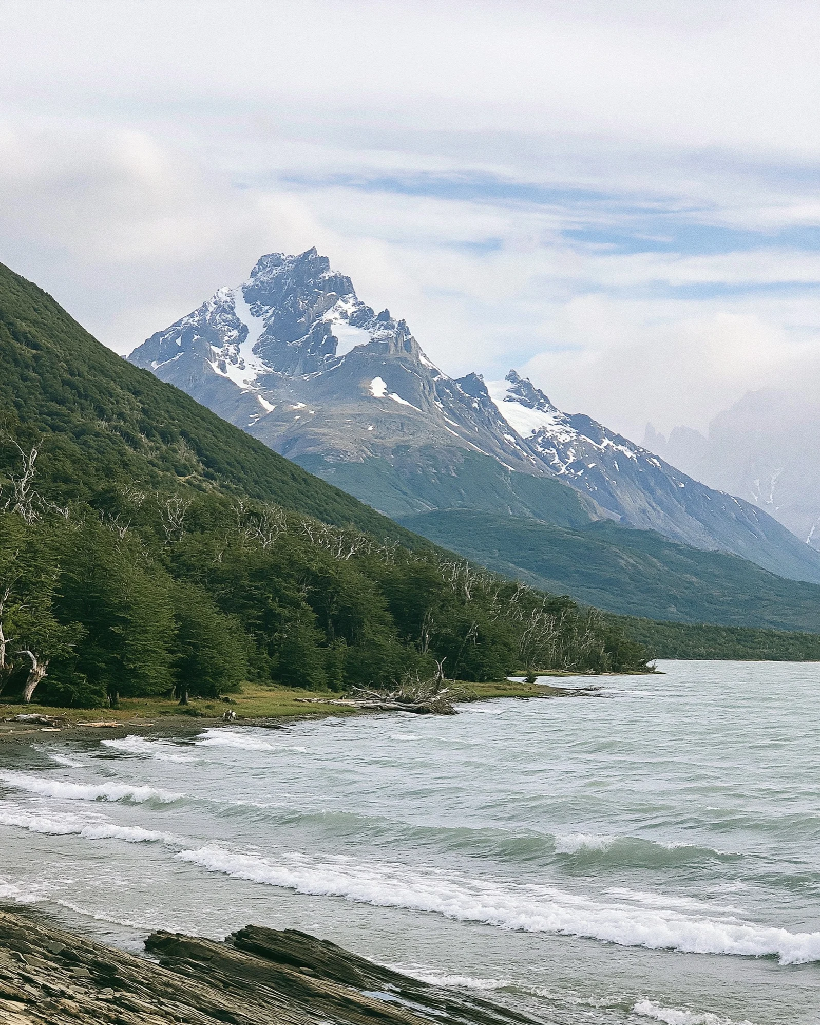 Snow-capped mountain above a forested lakeshore in Patagonia