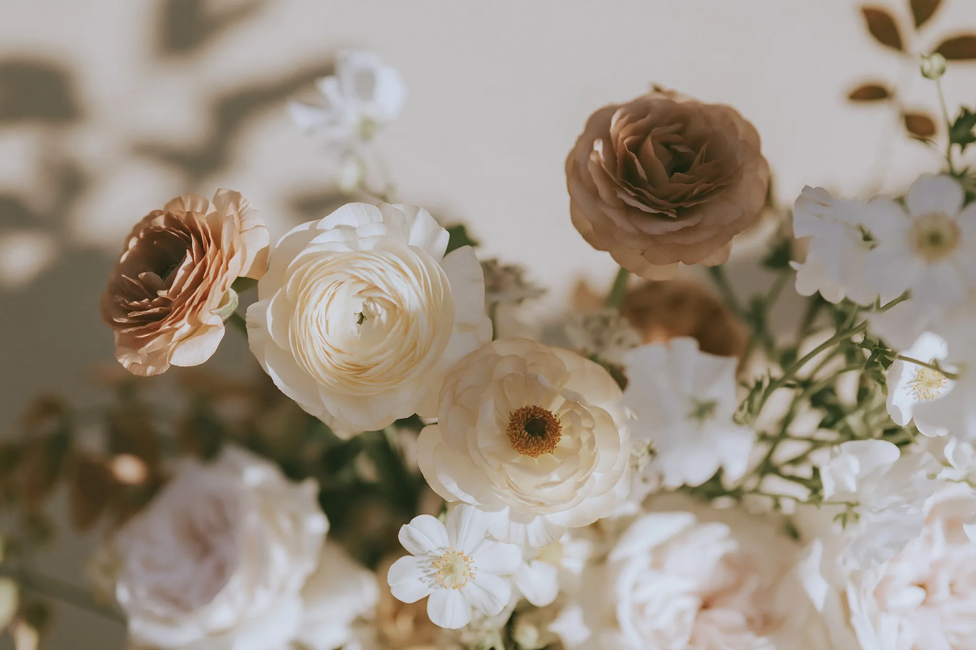Cream ranunculus and roses