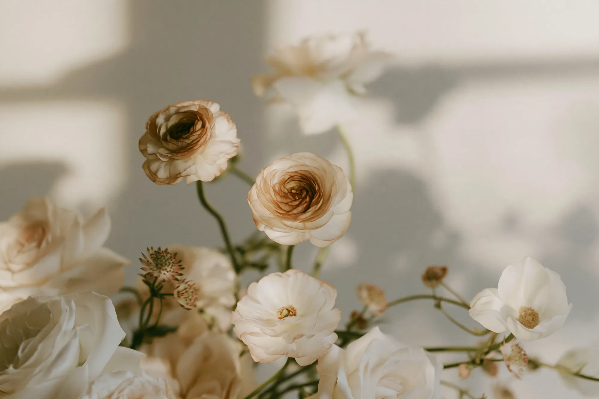 Bouquet of cream roses