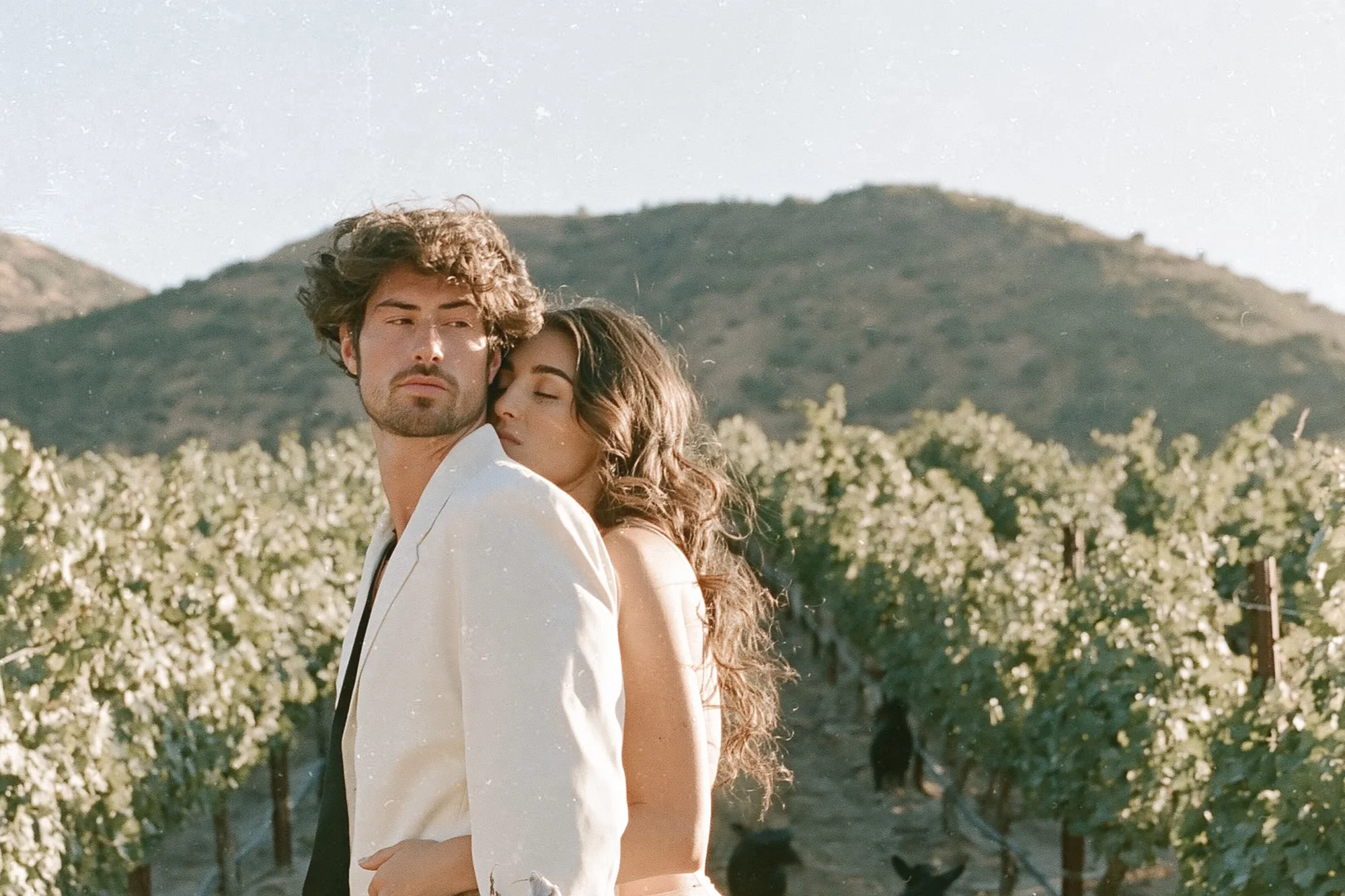 Bride and groom embracing in a vineyard in the Val d'Orcia