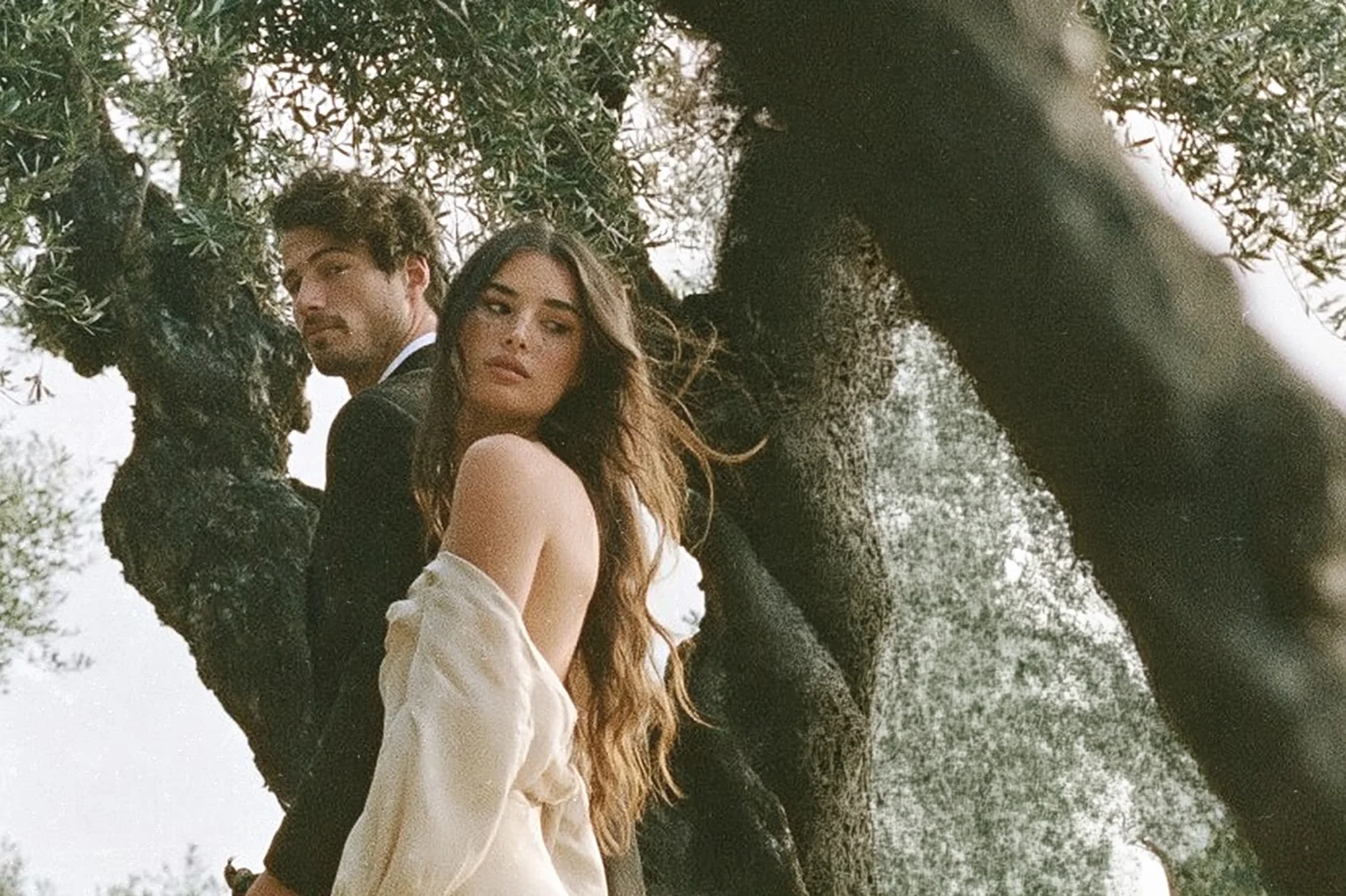 Bride and groom standing under an old olive tree